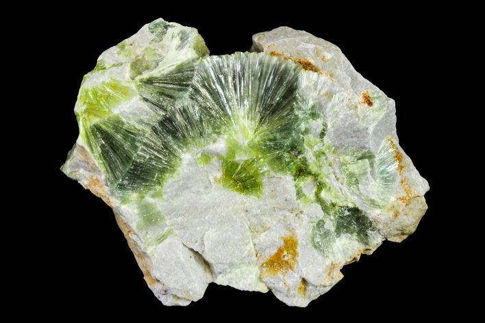 Radiating, Green Wavellite Crystal Aggregation - Arkansas #163073